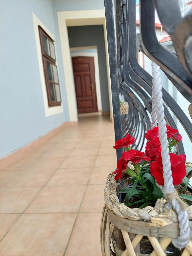 Hotel Salamander - Garni Banská Štiavnica Esterno foto